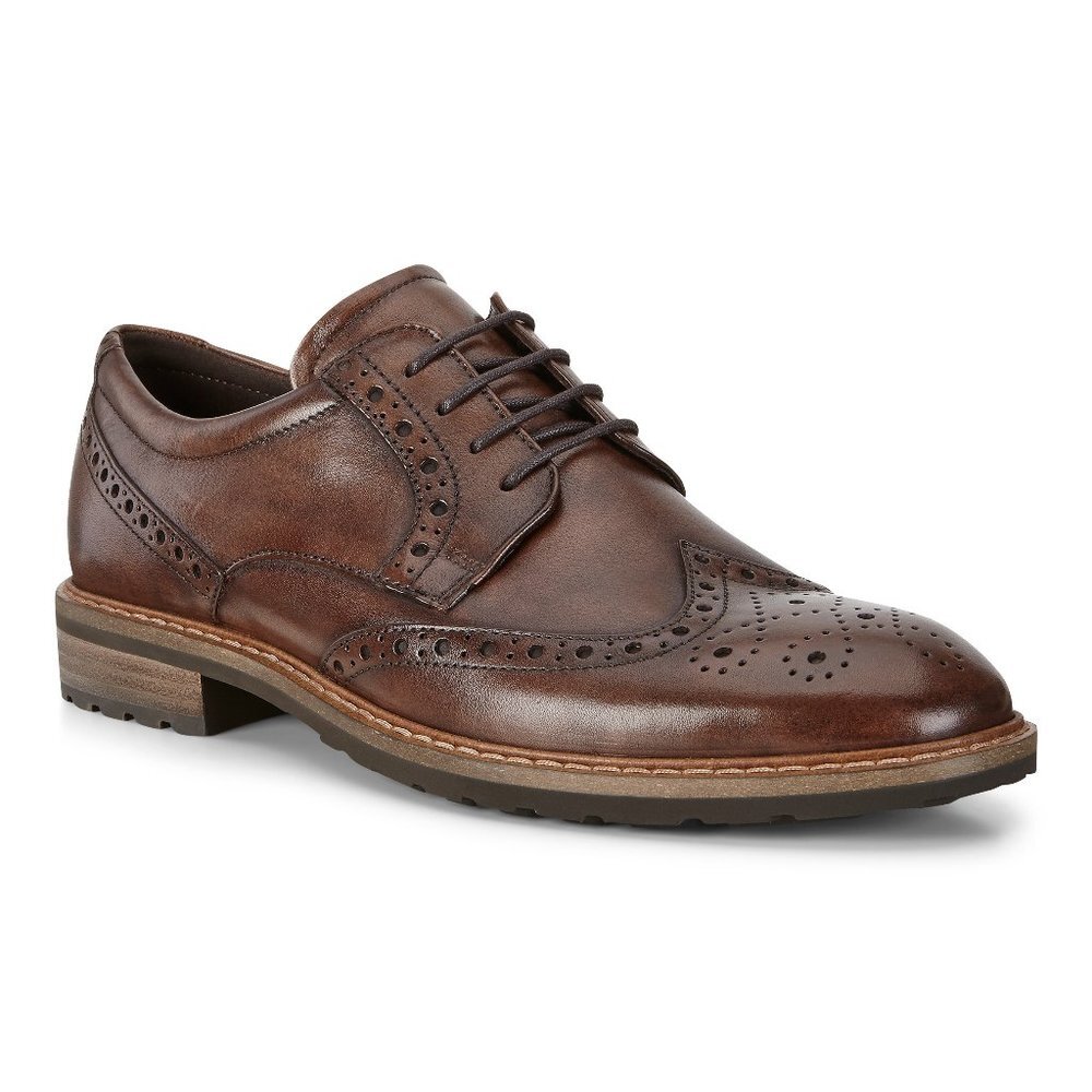 ECCO Men's Vitrus I Plain Toe Tie Oxford